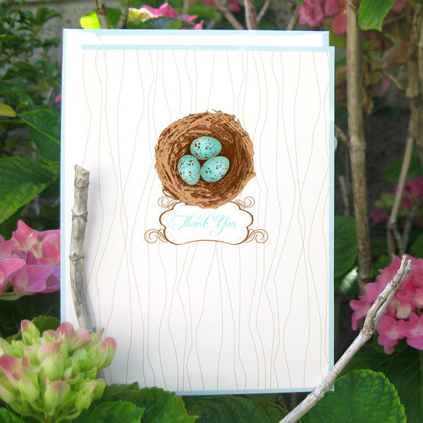Robin's Eggs Boxed Thank You Cards